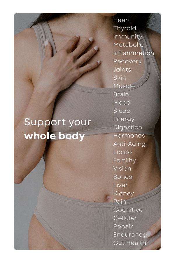 support_your_whole_body_1.png